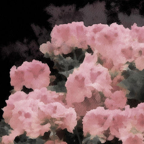 Blush Rush I Black Modern Wood Framed Art Print with Double Matting by Saunders, Alonzo