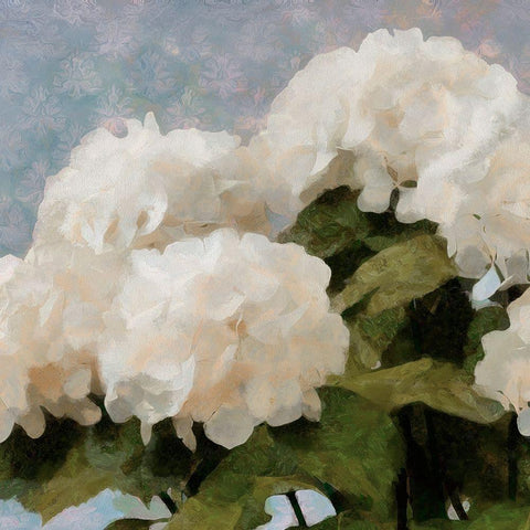 Sunday Flowers I White Modern Wood Framed Art Print with Double Matting by Saunders, Alonzo