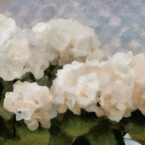 Sunday Flowers II White Modern Wood Framed Art Print by Saunders, Alonzo