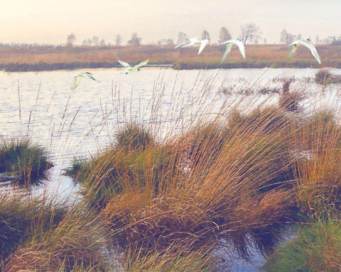 Marshland Hues I White Modern Wood Framed Art Print with Double Matting by Hunziker, Steve