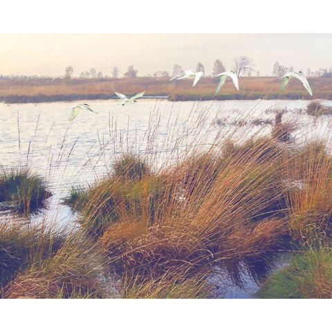 Marshland Hues I Black Modern Wood Framed Art Print with Double Matting by Hunziker, Steve