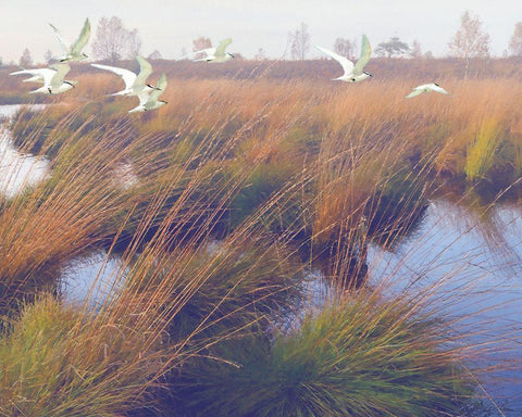 Marshland Hues II Black Ornate Wood Framed Art Print with Double Matting by Hunziker, Steve