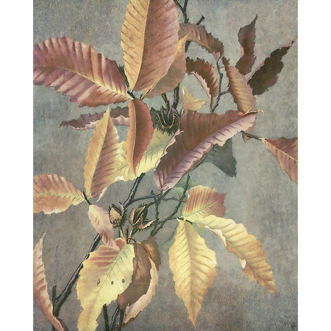 Ancient Autumn I White Modern Wood Framed Art Print by Hunziker, Steve