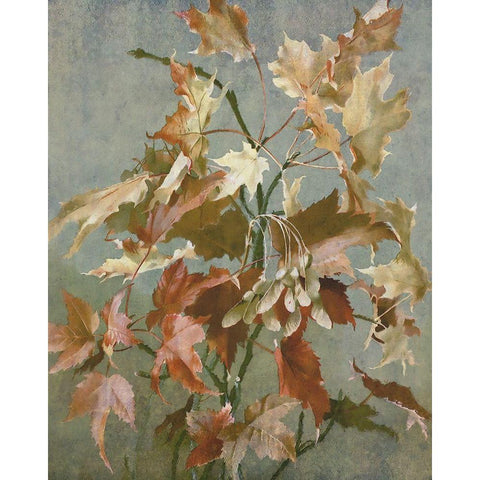 Ancient Autumn II White Modern Wood Framed Art Print by Hunziker, Steve