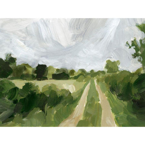 Meadow Trail II White Modern Wood Framed Art Print by Barnes, Victoria