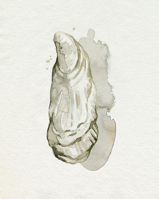 Image Only
