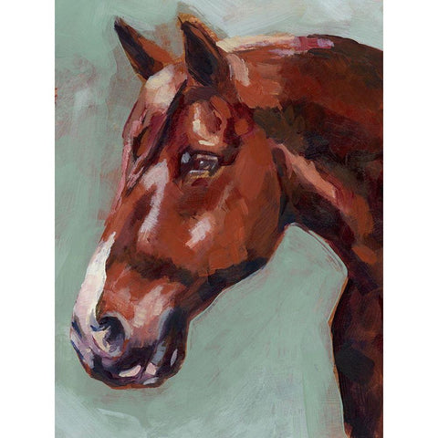 Paint by Number Horse I White Modern Wood Framed Art Print by Parker, Jennifer Paxton