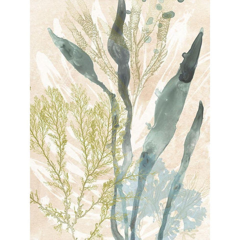 Vintage Ocean Jewels I White Modern Wood Framed Art Print by Vess, June Erica