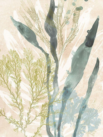 Vintage Ocean Jewels I White Modern Wood Framed Art Print with Double Matting by Vess, June Erica