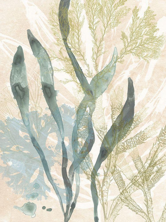 Image Only