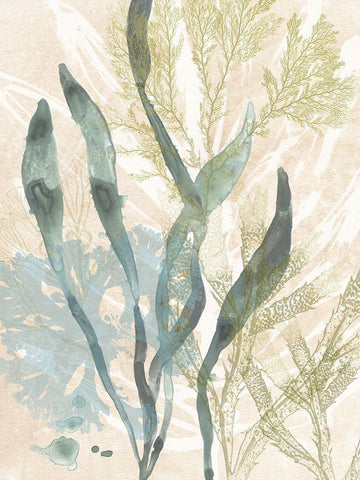 Vintage Ocean Jewels II White Modern Wood Framed Art Print with Double Matting by Vess, June Erica