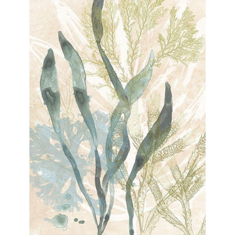 Vintage Ocean Jewels II Black Modern Wood Framed Art Print by Vess, June Erica