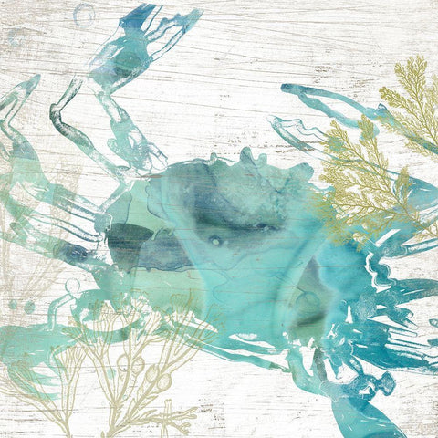 Jeweled Crustacean I White Modern Wood Framed Art Print by Vess, June Erica