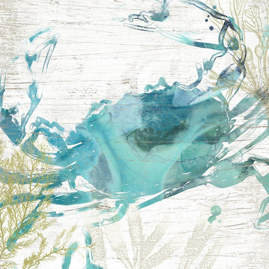 Image Only