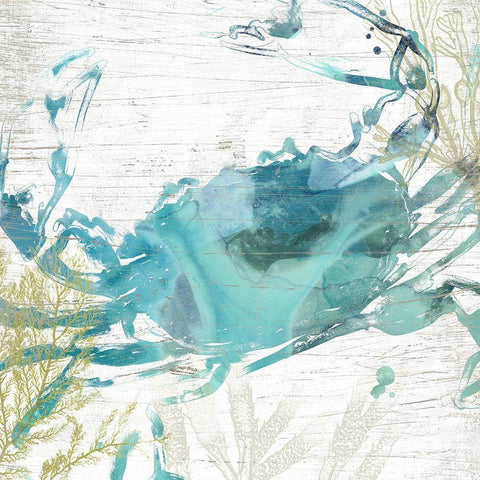 Jeweled Crustacean II Black Modern Wood Framed Art Print with Double Matting by Vess, June Erica