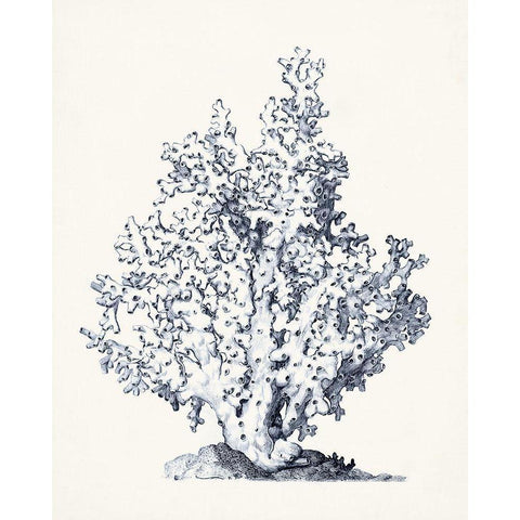 Blue Antique Coral I Black Modern Wood Framed Art Print by Vision Studio