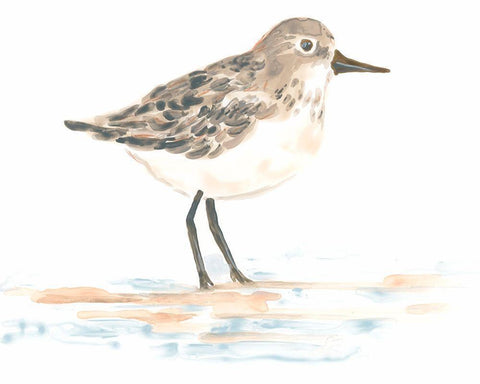 Pretty Piper I White Modern Wood Framed Art Print with Double Matting by Vess, June Erica