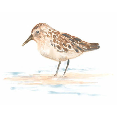 Pretty Piper II White Modern Wood Framed Art Print by Vess, June Erica