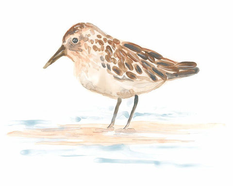 Pretty Piper II White Modern Wood Framed Art Print with Double Matting by Vess, June Erica