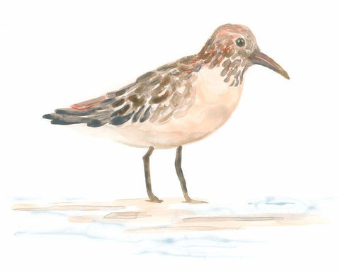 Pretty Piper III White Modern Wood Framed Art Print with Double Matting by Vess, June Erica