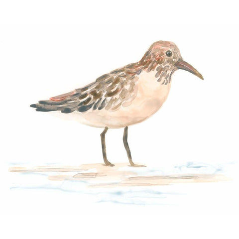 Pretty Piper III Gold Ornate Wood Framed Art Print with Double Matting by Vess, June Erica