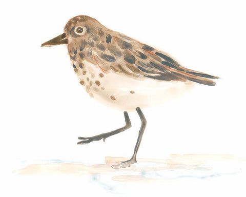 Pretty Piper IV White Modern Wood Framed Art Print with Double Matting by Vess, June Erica