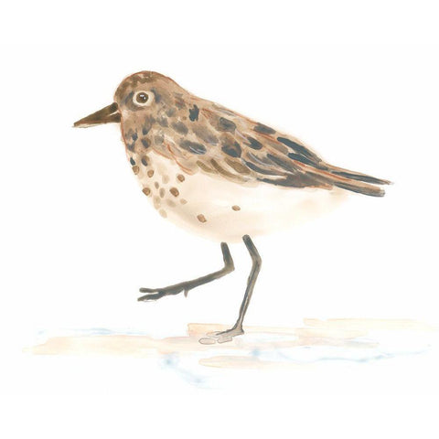 Pretty Piper IV Black Modern Wood Framed Art Print with Double Matting by Vess, June Erica