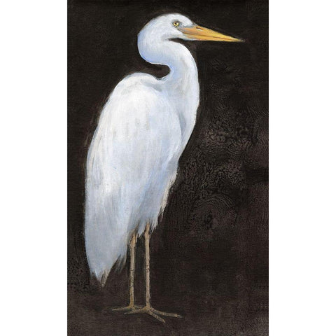 White Heron Portrait I White Modern Wood Framed Art Print by OToole, Tim