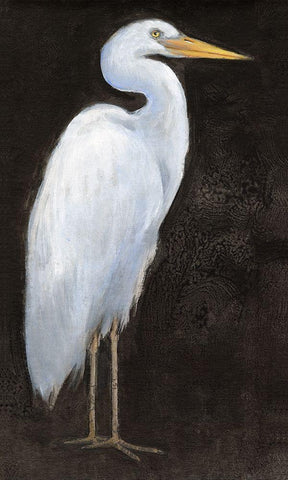 White Heron Portrait I Black Ornate Wood Framed Art Print with Double Matting by OToole, Tim