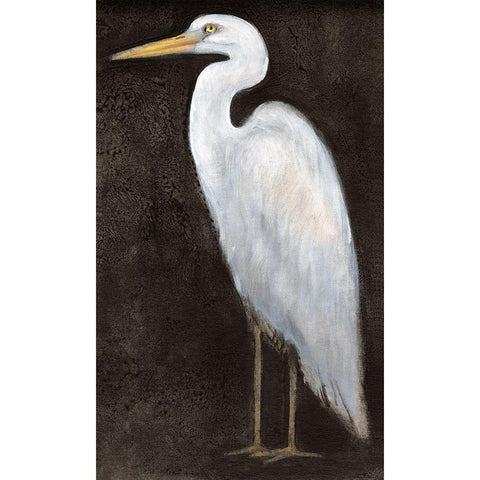 White Heron Portrait II Black Modern Wood Framed Art Print by OToole, Tim