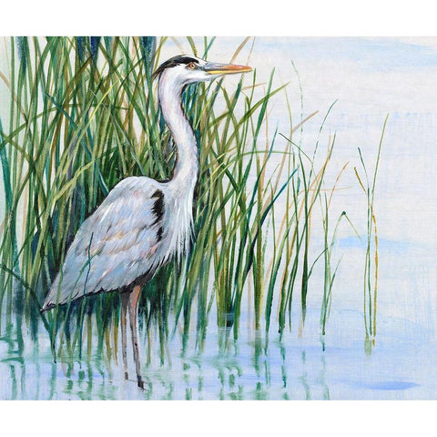 Heron in the Marsh I Black Modern Wood Framed Art Print with Double Matting by OToole, Tim