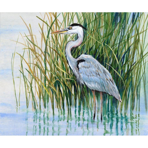 Heron in the Marsh II White Modern Wood Framed Art Print by OToole, Tim