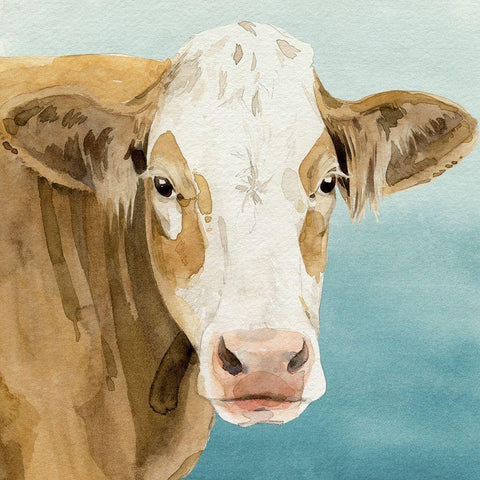 Hereford Stare I White Modern Wood Framed Art Print by Popp, Grace