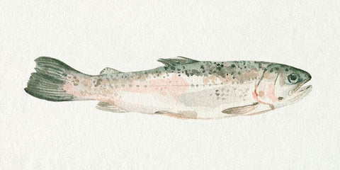 Fresh Catch I White Modern Wood Framed Art Print with Double Matting by Caroline, Emma