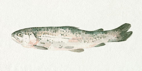 Fresh Catch II Black Ornate Wood Framed Art Print with Double Matting by Caroline, Emma