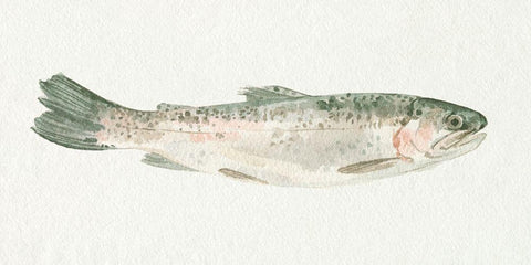 Fresh Catch III White Modern Wood Framed Art Print with Double Matting by Caroline, Emma