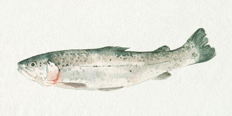 Fresh Catch IV White Modern Wood Framed Art Print with Double Matting by Caroline, Emma