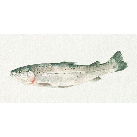 Fresh Catch IV Black Modern Wood Framed Art Print with Double Matting by Caroline, Emma