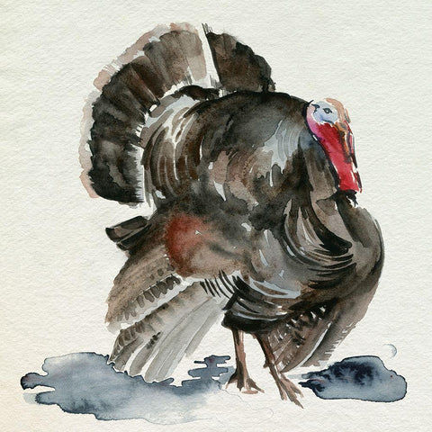 Watercolor Turkey I White Modern Wood Framed Art Print by Parker, Jennifer Paxton