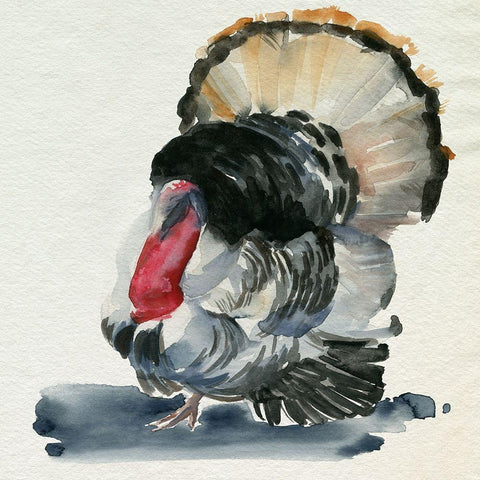 Watercolor Turkey II Black Ornate Wood Framed Art Print with Double Matting by Parker, Jennifer Paxton