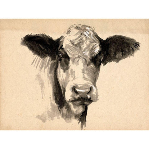 Charcoal Cow II Gold Ornate Wood Framed Art Print with Double Matting by Parker, Jennifer Paxton