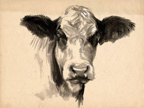 Charcoal Cow II Black Ornate Wood Framed Art Print with Double Matting by Parker, Jennifer Paxton