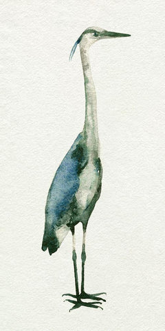 Deep Blue Heron I White Modern Wood Framed Art Print with Double Matting by Caroline, Emma