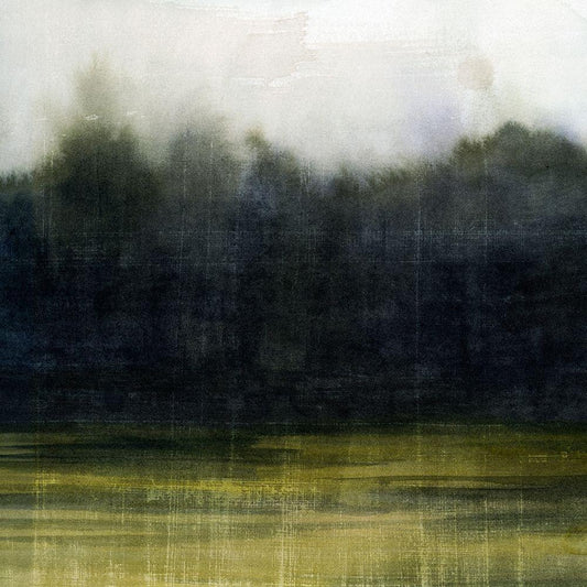 Image Only