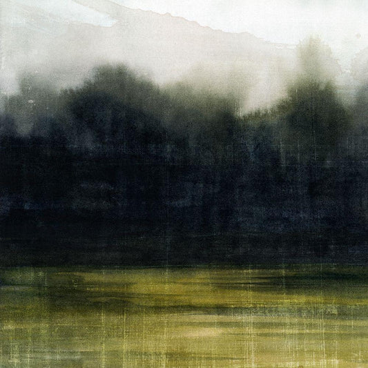 Image Only