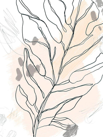 Palm Sketchbook III White Modern Wood Framed Art Print with Double Matting by Vess, June Erica