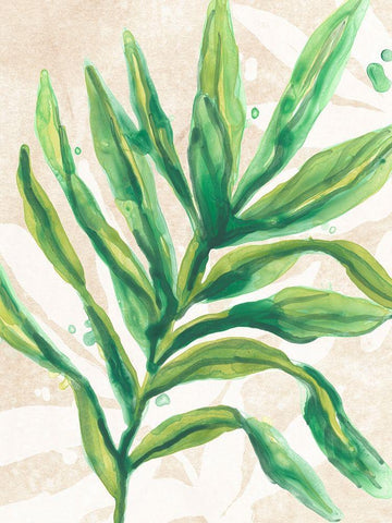 Parchment Palms I Black Ornate Wood Framed Art Print with Double Matting by Vess, June Erica