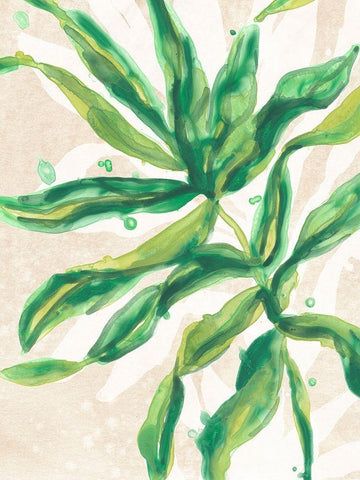 Parchment Palms II Black Ornate Wood Framed Art Print with Double Matting by Vess, June Erica