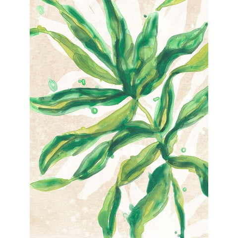 Parchment Palms II Black Modern Wood Framed Art Print with Double Matting by Vess, June Erica