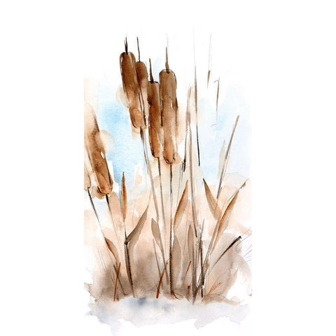 Watercolor Cattail Study I Black Modern Wood Framed Art Print with Double Matting by Harper, Ethan